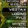 Energetica with VEZTAX