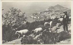 dubrovnik_stare_slike - 20090625-dubrovnikslika6kv9.jpg
