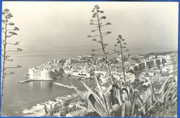 dubrovnik_stare_slike - 20090706-ScanImage007-1.jpg