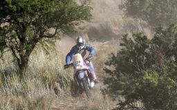 motorcycles - pavey-dakar-3.jpg