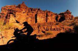motorcycles - dakar2011_26502323.jpg