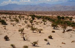 motorcycles - dakar2011_26607955.jpg