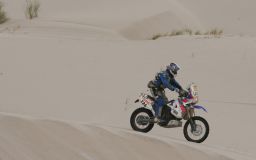 motorcycles - Day-13-pavey.jpg