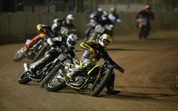 motorcycles - flattrack.jpg