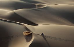 motorcycles - dakar2011_26543613.jpg