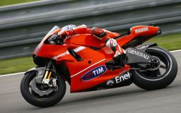 motorcycles - stoner---.jpg