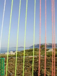 photo_archive 2002-05-18-1070183519 - P1010032_3.jpg