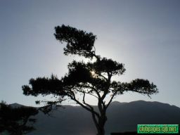 photo_archive 2002-05-18-1070183519 - P1010036.jpg