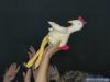 Carl Cox 2004 @ Gripe - 018.jpg