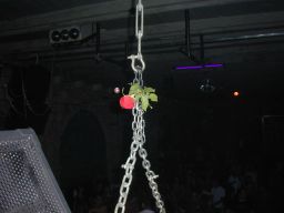 photo_archive 2005-05-14-1133547880 - 083_resize.jpg