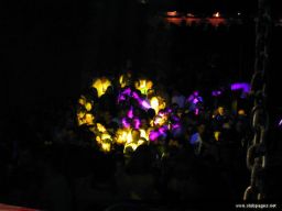 photo_archive 2006-04-16-1145366756 - DSCN0039_resize.jpg