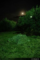 photo_archive 2006-08-03-1154877387 - DSC_4618.jpg