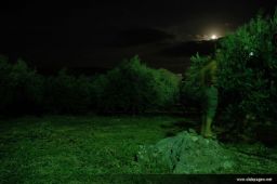 photo_archive 2006-08-03-1154877387 - DSC_4620.jpg