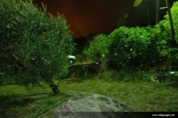 photo_archive 2006-08-03-1154877387 - DSC_4629.jpg