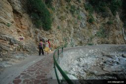 photo_archive 2006-08-03-1154877423 - DSC_5230.jpg