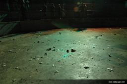 photo_archive 2006-08-14-1156661328 - DSC_7997_resize.jpg