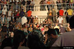 photo_archive 2006-08-14-1156661328 - DSC_7978_resize.jpg