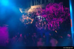 photo_archive 2006-08-14-1156661328 - DSC_7341_resize.jpg