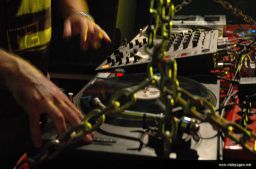 photo_archive 2006-09-02-1157294502 - DSC_2608_resize.jpg