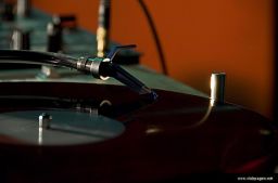 photo_archive 2007-02-10-1171210867 - DSC_2427_resize.jpg