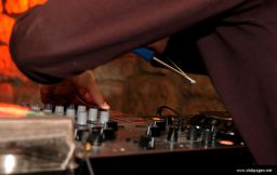 photo_archive 2007-04-21-1177862117 - DSC_5128.jpg