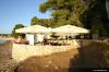 The Garden Festival 2007 @ Petr�ane - IMG_8185.jpg