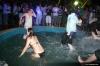 The Garden Festival 2007 @ Petr�ane - IMG_8272.jpg