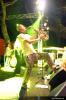 The Garden Festival 2007 @ Petr�ane - IMG_8304.jpg