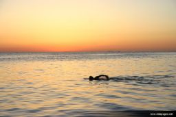 photo_archive 2007-07-07-1193587123 - IMG_8235.jpg