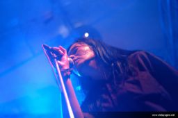 photo_archive 2007-07-31-1187808544 - DSC_8909.jpg